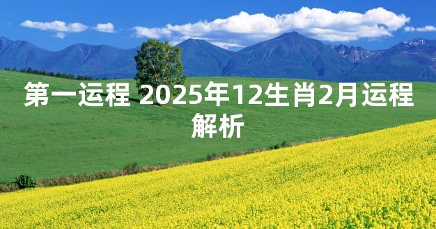 第一运程 2025年12生肖2月运程解析